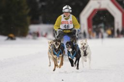 Lenzerheide 2013